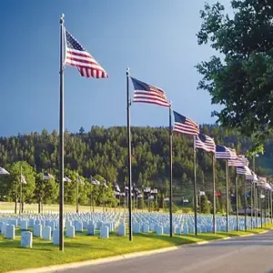 80' Commercial Tapered Flagpole Internal Halyard and Free 15x25' American Flag