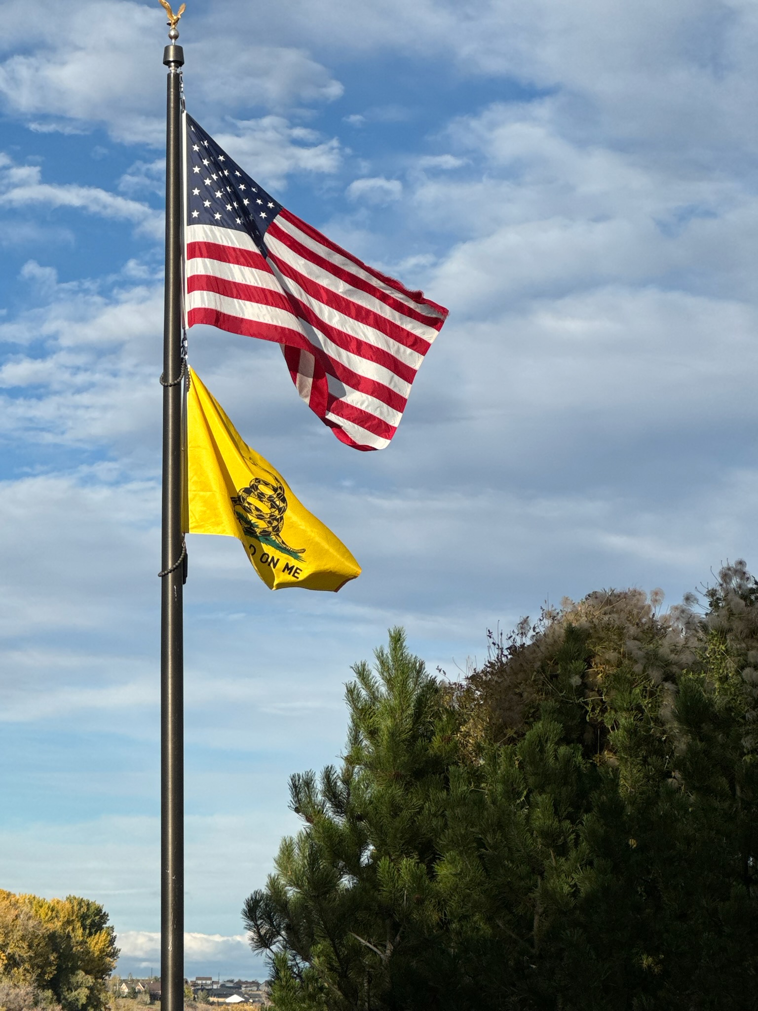 Titan 15' Telescoping 14 Gauge Aluminum Flagpole Kit - Image 2