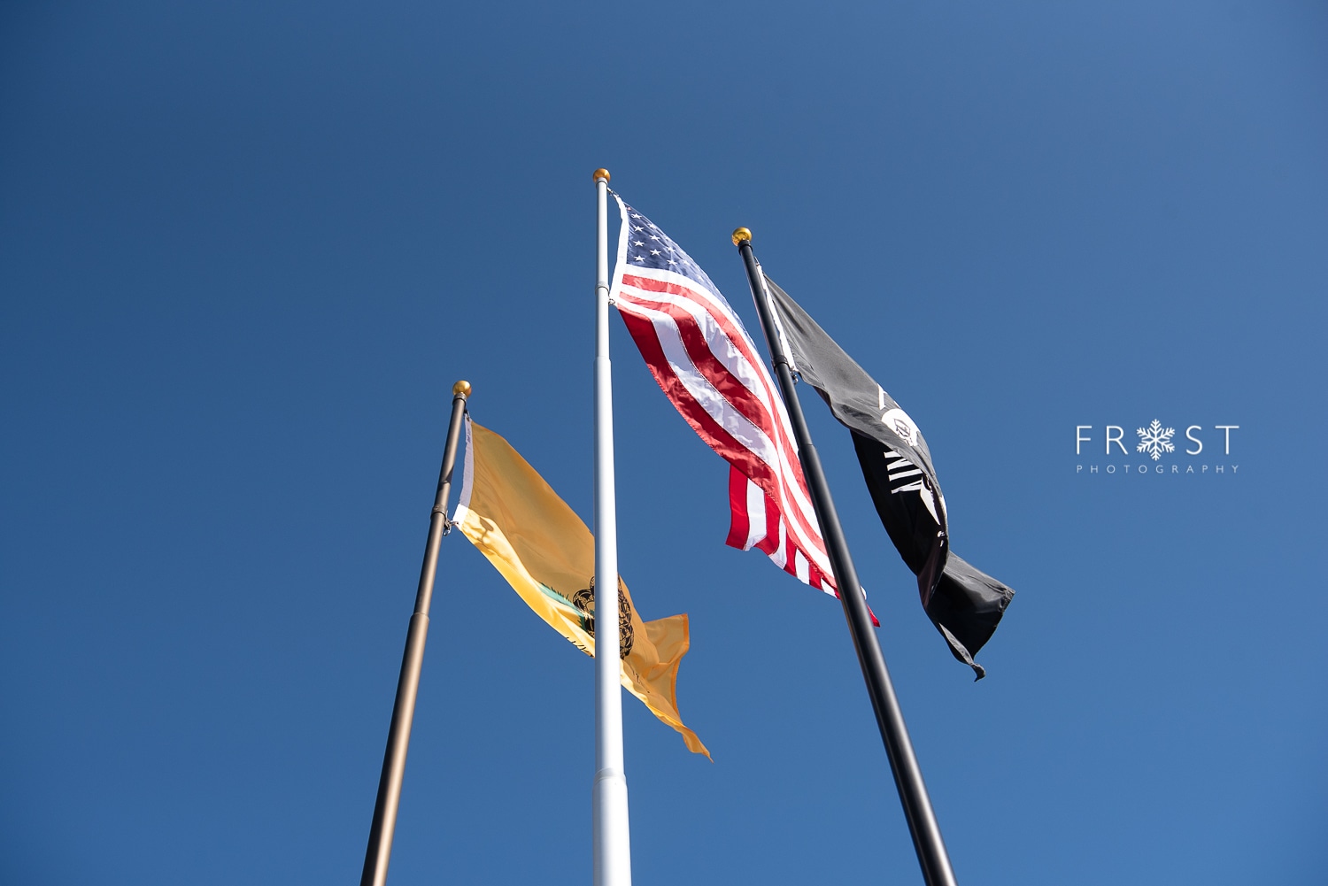 Titan Telescoping Flagpoles 15' to 25'